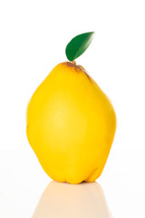yellow ripe quince on white background