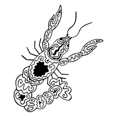 Black and white crayfish with ethnic patterns. Isolated hand drawn Astacidae of the crustacean family. Cancer zodiac symbol. Crab for coloring book, tattoo, print. Vector.