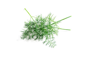 top view of fresh organic dill from the garden isolated on a white background 