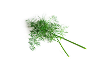 close-up of fresh organic dill from the garden isolated on a white background