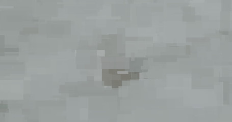 Composición de manchas rectangulares con predominio de grises de intensidad variable