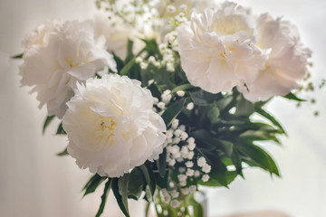 White peonies flowers in vase on white background