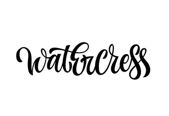 Hand drawn spice label - Watercress. Vector lettering design element. Isolated calligraphy script style word for labels, shop design, cafe decore etc