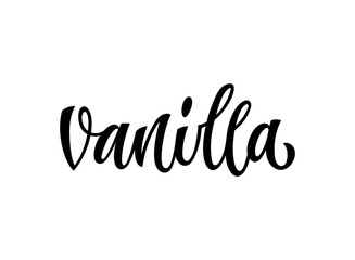 Vanilla - hand drawn spice label. Isolated calligraphy script style word. Vector lettering design element. Labels, shop design, cafe decore etc