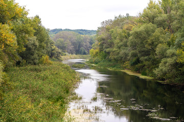 Fototapeta na wymiar river flowing in the forest.