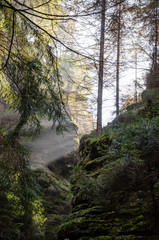 Narrow Ravine in Saxon Switzerland, Germany on a sunny morning in spring