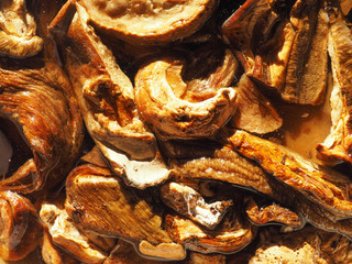porcini (boletus edulis) mushroom food