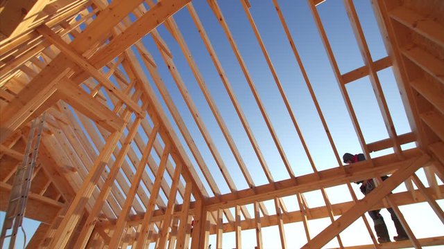 View from below of wooden beams of roof and walls of unfinished frame house with blue sky on the background. Builder is working on the roof. Beautiful natural light, sunny day