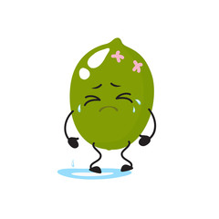 Lime, cute, attractive, character with emotion, crying, tears.