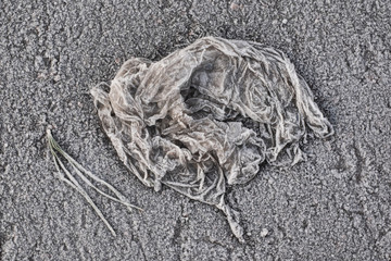 Crumpled plastic bag on froen ground in winter