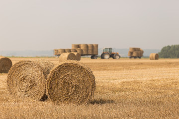 Tractor working in a field with bales of hay