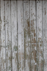 Obraz premium The background is made of a wooden board. the texture of the brown tree.