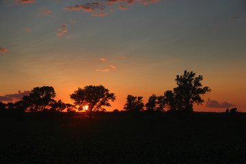 Schaprode auf Rügen