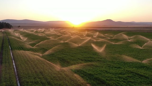 Irrigation system in  field at sunset.  Sunset background. Cinematic view at sunset