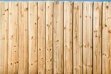Pine wooden fence close up background.