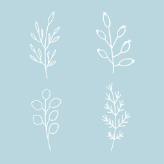 Set of simple hand-drawn contours of twigs and berries