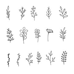 Set of black outline hand drawn branches, leaves and berries