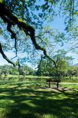 A very cozy sight in the morning at Taiping Lake Garden Park.