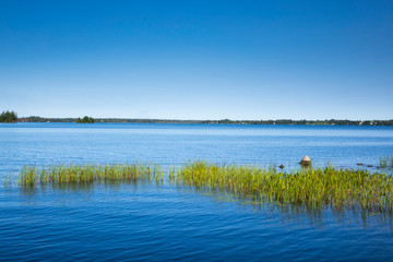 A pleasant lake on a summer day