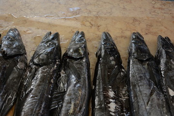 Fische