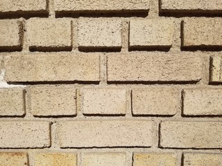 Section of Tan Wall with English Bond