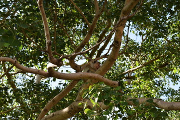 viaje a sri lanka