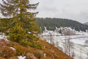 Eckertalsperre ist im Winter zugefroren