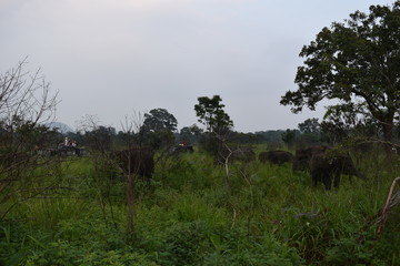 viaje a sri lanka