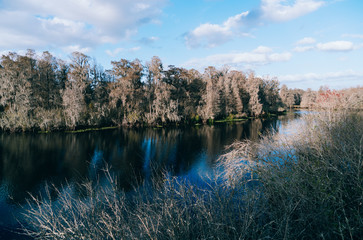 the winter landscape of florida