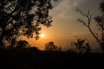 Sunset views in the jungle.