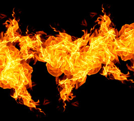 Fire flames on a black background