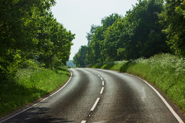 road in the forest