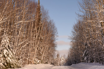 remote country road in January