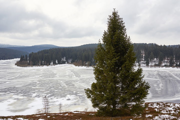 Eckertalsperre ist im Winter zugefroren