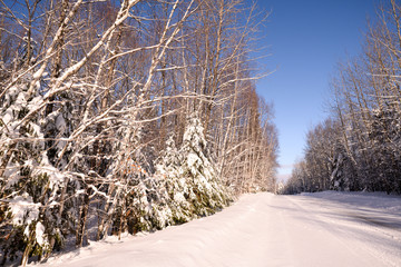 country road covered in snow in the winter 