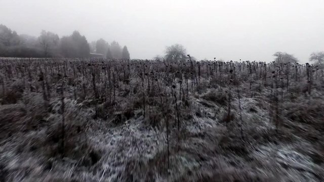 Frozen feeld at a dark winter day, by drone.
