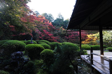 the Garden of Shisen-do Temple in Kyoto