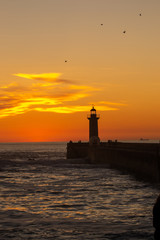 Fototapeta premium Sunset