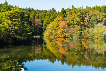 リフレクション