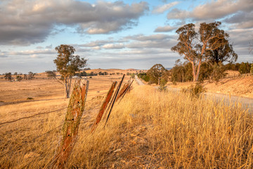 Sheep paddock in the Australian countryside