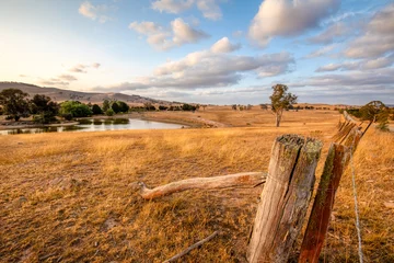 Foto op Plexiglas Sheep paddock in the Australian countryside © Jandrie Lombard