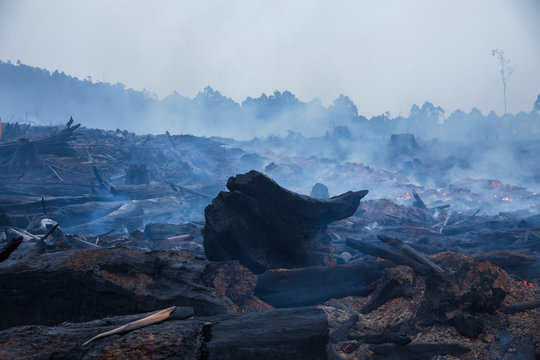 Bushfire Smouldering In Australian Outback