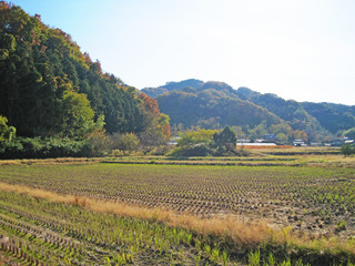Fototapeta na wymiar 秋の田舎の風景