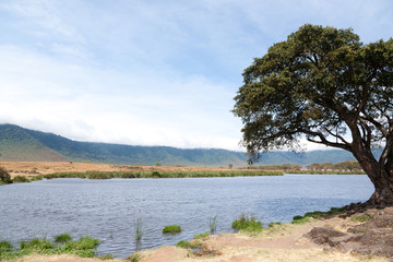 Ngorongoro crater beautiful landscape, Tanzania, Africa