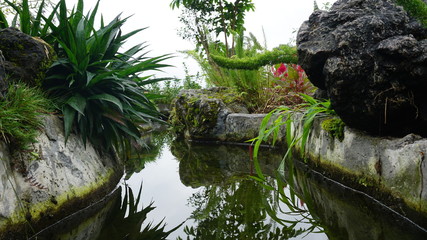 The river in the garden with beautiful water