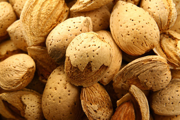 Raw almond in the shell