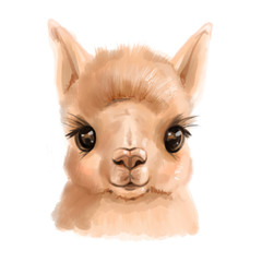 Cute Lama face. Childish print for fabric, t-shirt, poster, card, baby shower. Watercolor digital Illustrtion