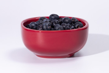 Red Bowl with Blueberries on white