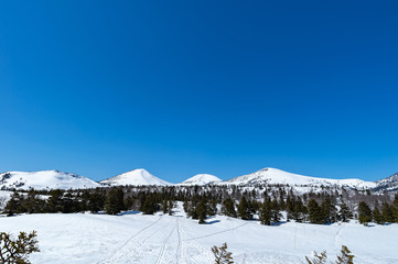 Fototapeta premium 【青森県八甲田山中】春の八甲田連峰雪景色、睡蓮沼方面から