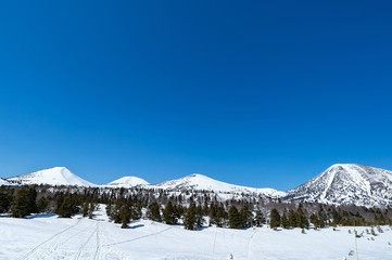 【青森県八甲田山中】春の八甲田連峰雪景色、睡蓮沼方面から